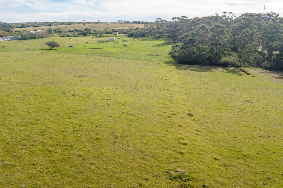 0 Bedroom Property for Sale in Alexandria Eastern Cape